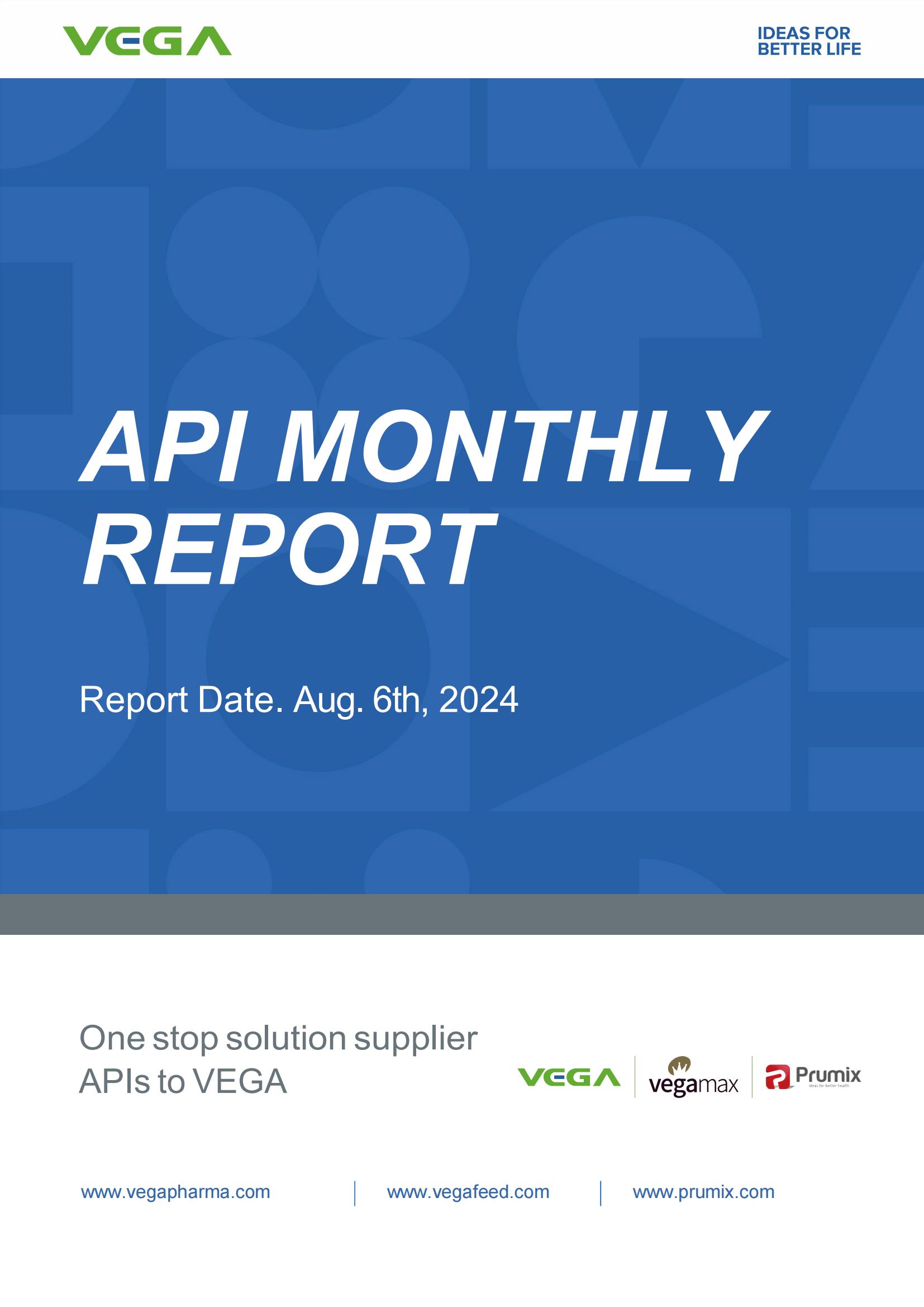 API monthly report of July 2024 Vega group.jpg